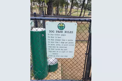 121 Tall Grass Drive, Georgetown, TX 78628 - Photo 32