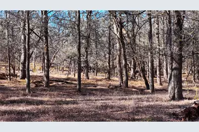 Tbd Lytton Lane, Dale, TX 78616 - Photo 4