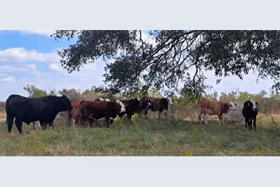3432 County Road 206 Road N, Cameron, TX 76520 - Photo 20