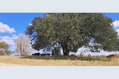 3432 County Road 206 Road N, Cameron, TX 76520 - Photo 1