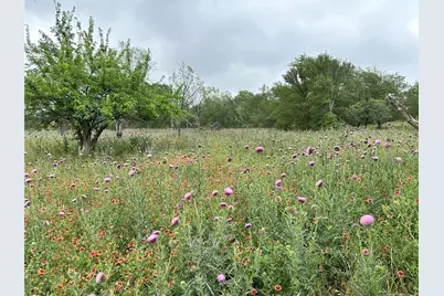 379 Vintners Way, Fredericksburg, TX 78624 - Photo 4