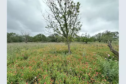 379 Vintners Way, Fredericksburg, TX 78624 - Photo 6