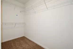 252 Mount Vernon Way, Liberty Hill, TX 78642 - Photo 24