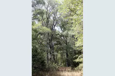 720 Green Acre Drive, Dale, TX 78616 - Photo 22