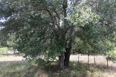 720 Green Acre Drive, Dale, TX 78616 - Photo 10