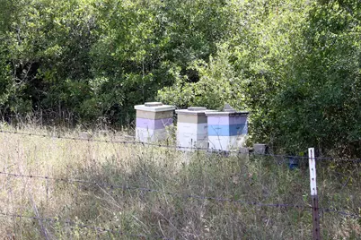 720 Green Acre Drive, Dale, TX 78616 - Photo 12