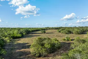 399 Seals Creek Rd, Lockhart, TX 78644 - Photo 1