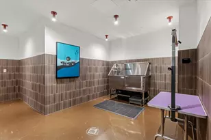 4315 S Congress Ave, Austin, TX 78745 - Photo 20