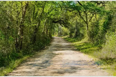 0 Cr 437, Harwood, TX 78629 - Photo 2