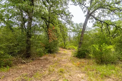 492 S Old Potato Road, Paige, TX 78659 - Photo 18