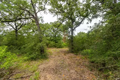 492 S Old Potato Road, Paige, TX 78659 - Photo 12