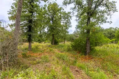 492 S Old Potato Road, Paige, TX 78659 - Photo 16