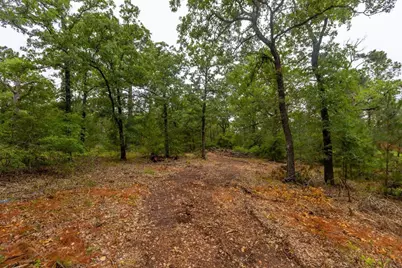 492 S Old Potato Road, Paige, TX 78659 - Photo 4