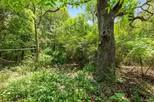 1511 Terrapin Ct, Austin, TX 78746 - Photo 22