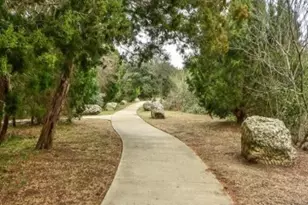 700 Mandarin Flyway, Cedar Park, TX 78613 - Photo 14