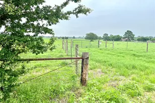 5 556 Acres Farris Ln Ln, Smithville, TX 78957 - Photo 1