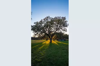1294 Crabapple Road Road, Blanco, TX 78606 - Photo 6