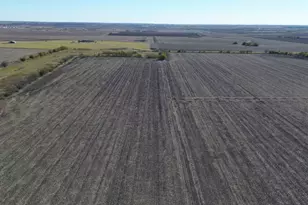 18402 Manda Carlson Rd, Coupland, TX 78615 - Photo 6