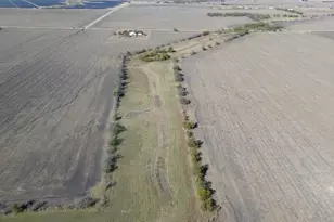 18402 Manda Carlson Rd, Coupland, TX 78615 - Photo 4