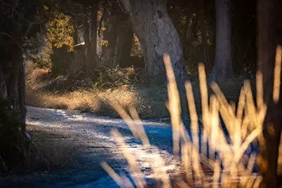 Tbd Steitle Road, Fredericksburg, TX 78624 - Photo 24