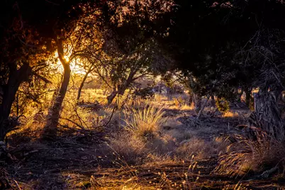 Tbd Steitle Road, Fredericksburg, TX 78624 - Photo 4