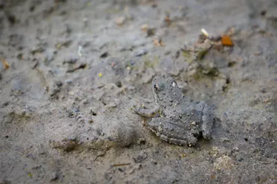 8770 Lee Lane, Madisonville, TX 77872 - Photo 18