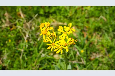 8770 Lee Lane, Madisonville, TX 77872 - Photo 24