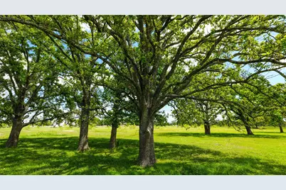 8770 Lee Lane, Madisonville, TX 77872 - Photo 20