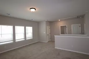 178 Grayson Elm Pass, Dripping Springs, TX 78620 - Photo 10