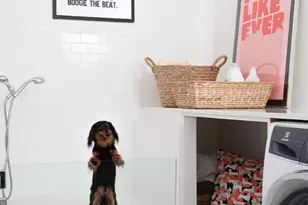 1904 Yaupon Valley Rd, West Lake Hills, TX 78746 - Photo 28