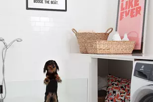 1904 Yaupon Valley Rd, West Lake Hills, TX 78746 - Photo 28