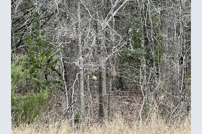 00 B J Mayes Drive, Bastrop, TX 78602 - Photo 32