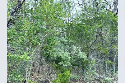 00 B J Mayes Drive, Bastrop, TX 78602 - Photo 30