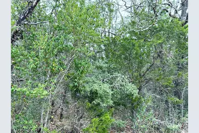 00 B J Mayes Drive, Bastrop, TX 78602 - Photo 30