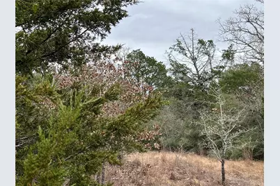00 B J Mayes Drive, Bastrop, TX 78602 - Photo 8