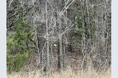 00 B J Mayes Drive, Bastrop, TX 78602 - Photo 32