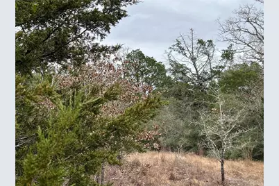 00 B J Mayes Drive, Bastrop, TX 78602 - Photo 8