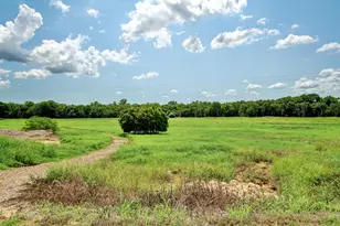 223 Tributary Way, Bastrop, TX 78602 - Photo 30