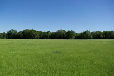 Tbd St Delight (Tract 4) Road, Paige, TX 78659 - Photo 8