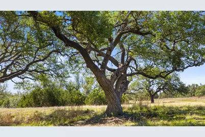 6590 US 290, Dripping Springs, TX 78620 - Photo 16