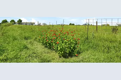 1951 County Road 475, Thrall, TX 76578 - Photo 30