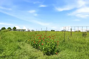 1951 Co Rd 475, Thrall, TX 76578 - Photo 30