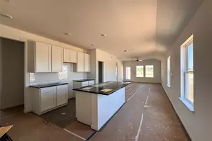 207 Bayou Mint Blvd, Buda, TX 78610 - Photo 4