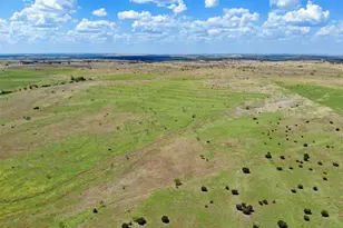 Tbd County Road 963 E, Bertram, TX 78605 - Photo 8
