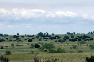 Tbd County Road 963 E, Bertram, TX 78605 - Photo 4