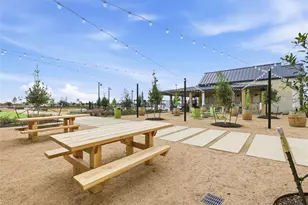 117 Royal Fern Rd, Hutto, TX 78634 - Photo 30