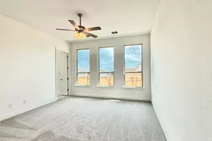 117 Royal Fern Rd, Hutto, TX 78634 - Photo 8