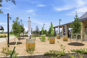 117 Royal Fern Rd, Hutto, TX 78634 - Photo 20