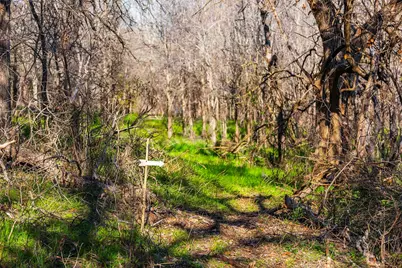 13017 Bob Johnson Lane #C, Manchaca, TX 78652 - Photo 16