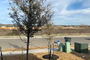 236 Sunniberg Loop, Georgetown, TX 78626 - Photo 22